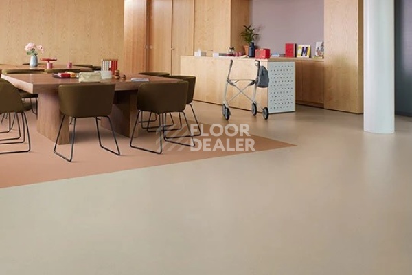 Линолеум FORBO SureStep balance 173342 limestone фото 1 | FLOORDEALER